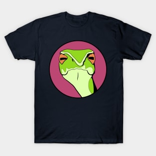 Judgmental Snake - Funny Animal Design T-Shirt